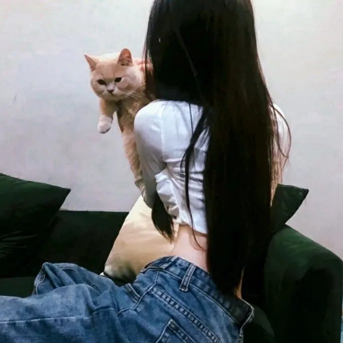 甜心情缘